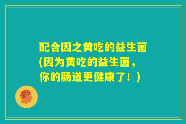 配合因之黄吃的益生菌(因为黄吃的益生菌，你的肠道更健康了！)
