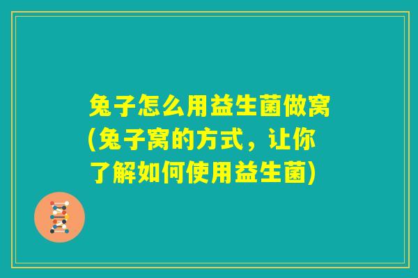 兔子怎么用益生菌做窝(兔子窝的方式,让你了解如何使用益生菌) 兔子怎么用益生菌做窝(兔子窝的方式,让你了解如何使用益生菌)