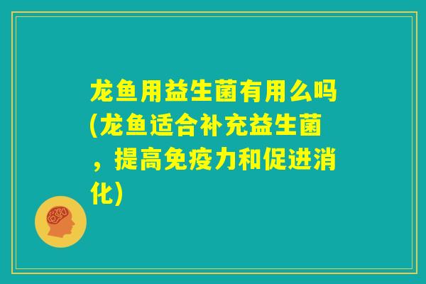 龙鱼用益生菌有用么吗(龙鱼适合补充益生菌，提高免疫力和促进消化)