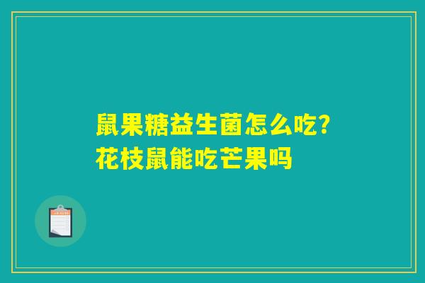 鼠果糖益生菌怎么吃？花枝鼠能吃芒果吗