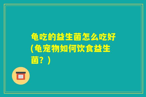 龟吃的益生菌怎么吃好(龟宠物如何饮食益生菌？)