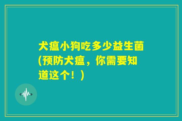 犬瘟小狗吃多少益生菌(预防犬瘟，你需要知道这个！)