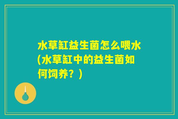 水草缸益生菌怎么喂水(水草缸中的益生菌如何饲养？)