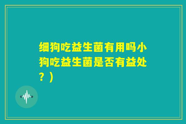 细狗吃益生菌有用吗小狗吃益生菌是否有益处？)