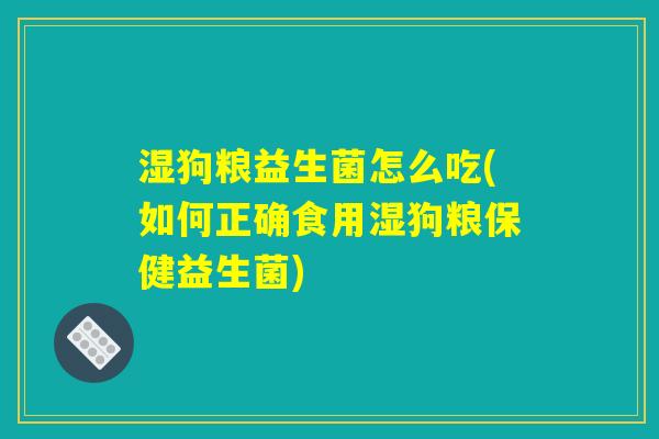 湿狗粮益生菌怎么吃(如何正确食用湿狗粮保健益生菌)