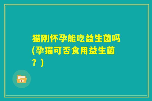 猫刚怀孕能吃益生菌吗(孕猫可否食用益生菌？)