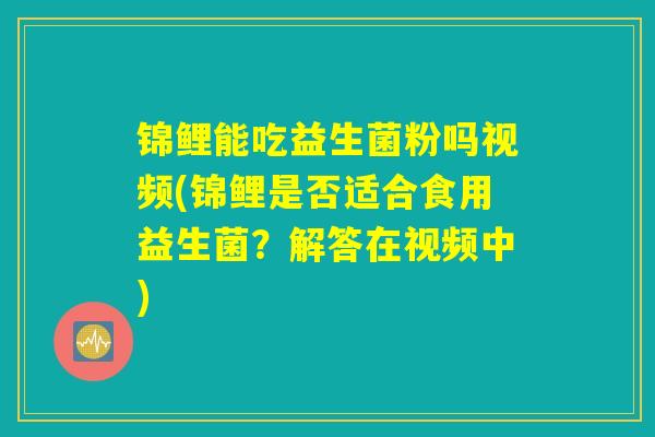 锦鲤能吃益生菌粉吗视频(锦鲤是否适合食用益生菌？解答在视频中)