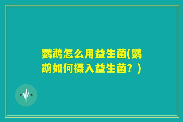 鹦鹉怎么用益生菌(鹦鹉如何摄入益生菌？)
