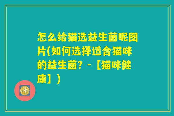 怎么给猫选益生菌呢图片(如何选择适合猫咪的益生菌？-【猫咪健康】)