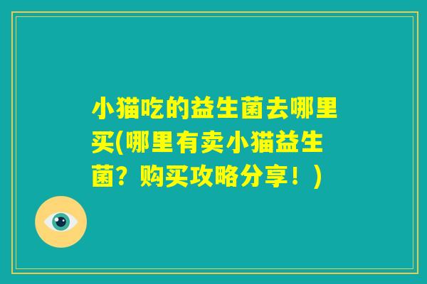 小猫吃的益生菌去哪里买(哪里有卖小猫益生菌？购买攻略分享！)