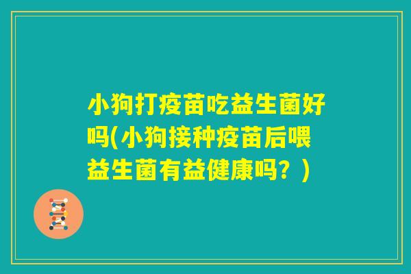 小狗打疫苗吃益生菌好吗(小狗接种疫苗后喂益生菌有益健康吗？)