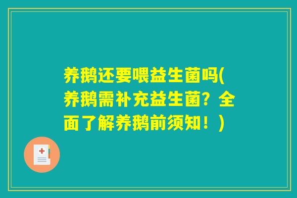 养鹅还要喂益生菌吗(养鹅需补充益生菌？全面了解养鹅前须知！)