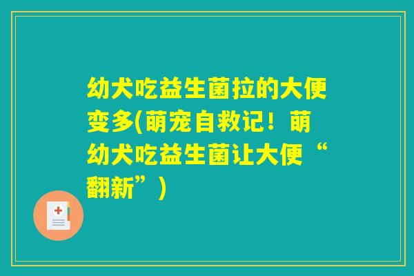 幼犬吃益生菌拉的大便变多(萌宠自救记!萌幼犬吃益生菌让大便“翻新”) 幼犬吃益生菌拉的大便变多(萌宠自救记!萌幼犬吃益生菌让大便“翻新”)