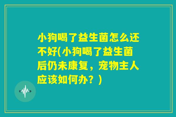 小狗喝了益生菌怎么还不好(小狗喝了益生菌后仍未康复，宠物主人应该如何办？)