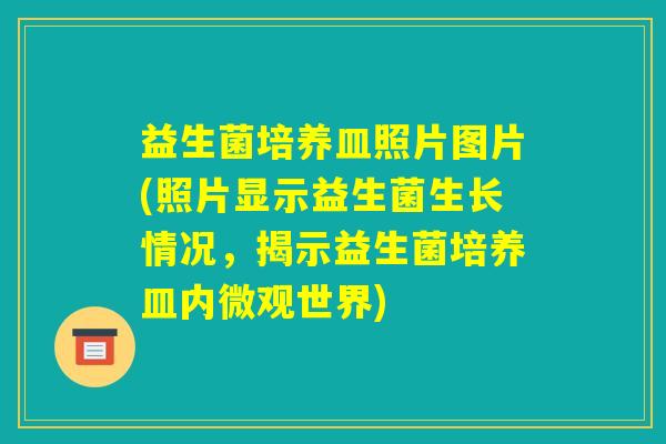 益生菌培养皿照片图片(照片显示益生菌生长情况，揭示益生菌培养皿内微观世界)