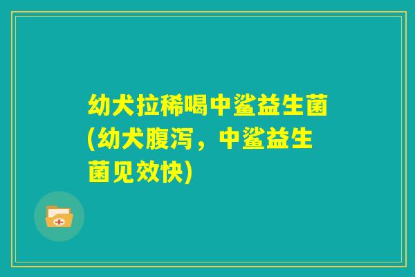 幼犬拉稀喝中鲨益生菌(幼犬腹泻,中鲨益生菌见效快) 幼犬拉稀喝中鲨益生菌(幼犬腹泻,中鲨益生菌见效快)