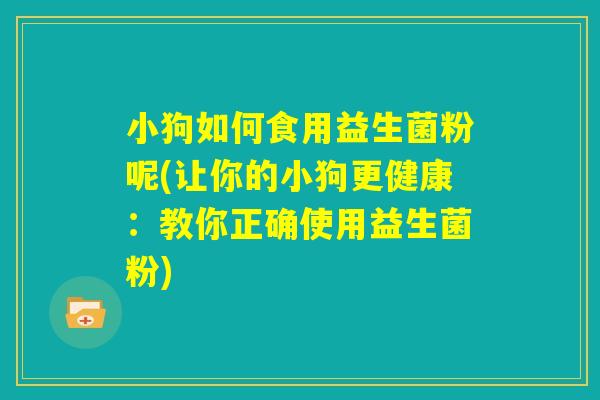 小狗如何食用益生菌粉呢(让你的小狗更健康：教你正确使用益生菌粉)