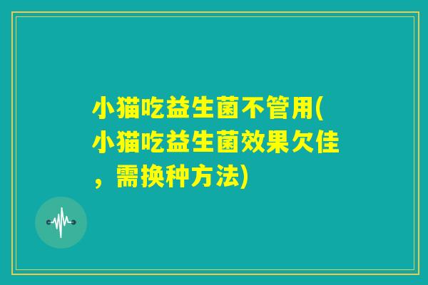 小猫吃益生菌不管用(小猫吃益生菌效果欠佳,需换种方法) 小猫吃益生菌不管用(小猫吃益生菌效果欠佳,需换种方法)