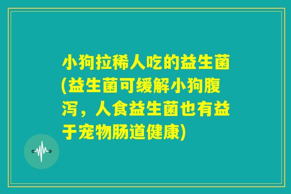 小狗拉稀人吃的益生菌(益生菌可缓解小狗腹泻，人食益生菌也有益于宠物肠道健康)