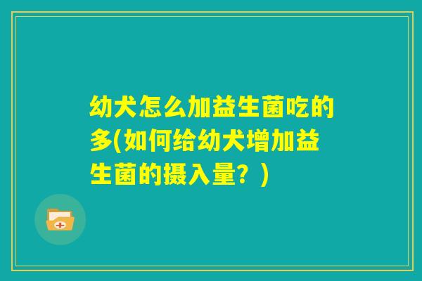 幼犬怎么加益生菌吃的多(如何给幼犬增加益生菌的摄入量？)