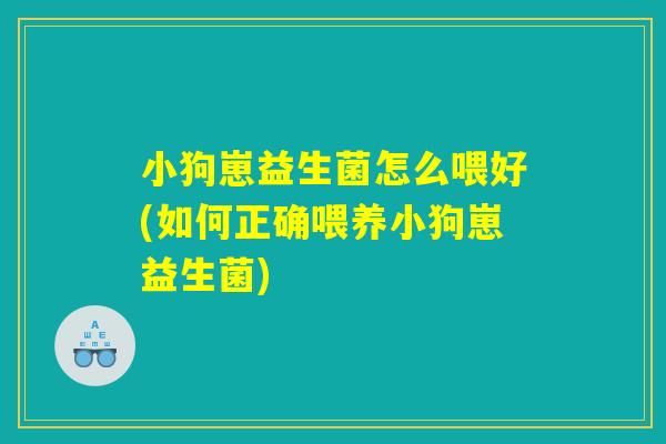 小狗崽益生菌怎么喂好(如何正确喂养小狗崽益生菌)