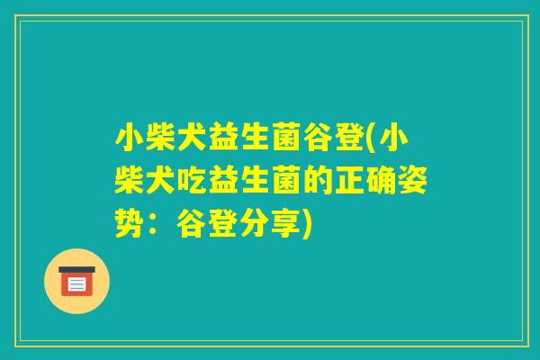 小柴犬益生菌谷登(小柴犬吃益生菌的正确姿势:谷登分享) 小柴犬益生菌谷登(小柴犬吃益生菌的正确姿势:谷登分享)