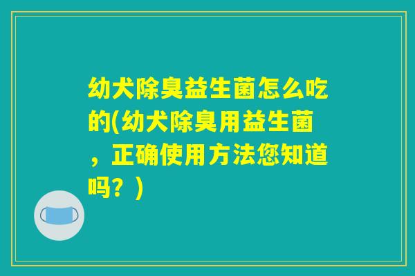 幼犬除臭益生菌怎么吃的(幼犬除臭用益生菌,正确使用方法您知道吗?) 幼犬除臭益生菌怎么吃的(幼犬除臭用益生菌,正确使用方法您知道吗?)