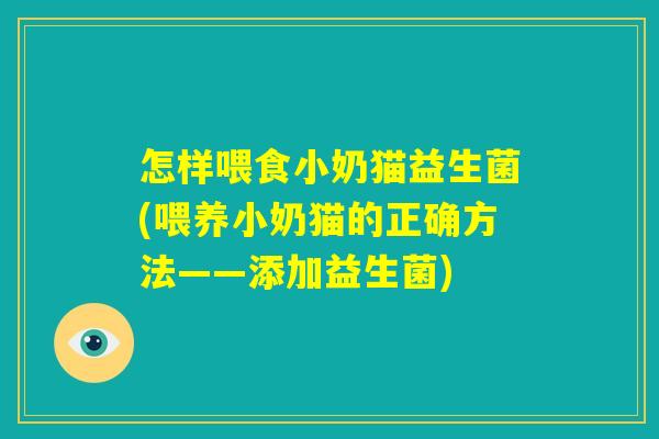 怎样喂食小奶猫益生菌(喂养小奶猫的正确方法——添加益生菌)