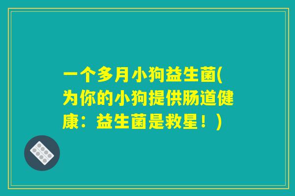 一个多月小狗益生菌(为你的小狗提供肠道健康：益生菌是救星！)