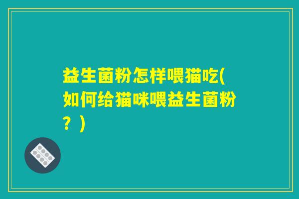 益生菌粉怎样喂猫吃(如何给猫咪喂益生菌粉？)