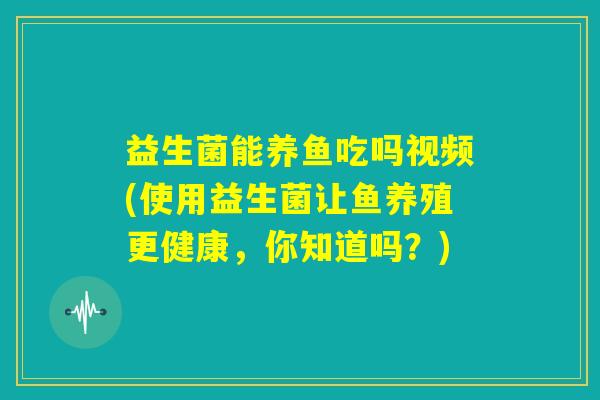 益生菌能养鱼吃吗视频(使用益生菌让鱼养殖更健康，你知道吗？)