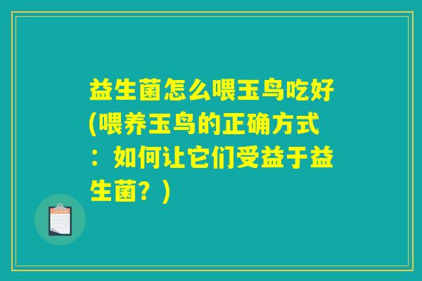 益生菌怎么喂玉鸟吃好(喂养玉鸟的正确方式:如何让它们受益于益生菌?) 益生菌怎么喂玉鸟吃好(喂养玉鸟的正确方式:如何让它们受益于益生菌?)