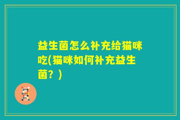 益生菌怎么补充给猫咪吃(猫咪如何补充益生菌？)