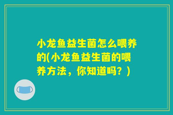 小龙鱼益生菌怎么喂养的(小龙鱼益生菌的喂养方法，你知道吗？)