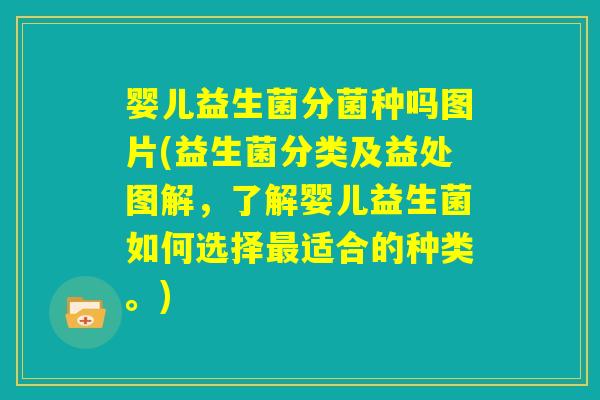 婴儿益生菌分菌种吗图片(益生菌分类及益处图解，了解婴儿益生菌如何选择最适合的种类。)