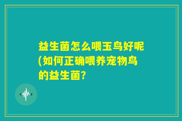 益生菌怎么喂玉鸟好呢(如何正确喂养宠物鸟的益生菌？