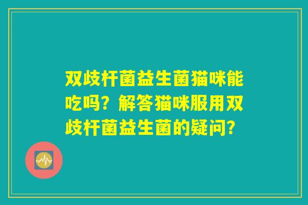 双歧杆菌益生菌猫咪能吃吗？解答猫咪服用双歧杆菌益生菌的疑问？