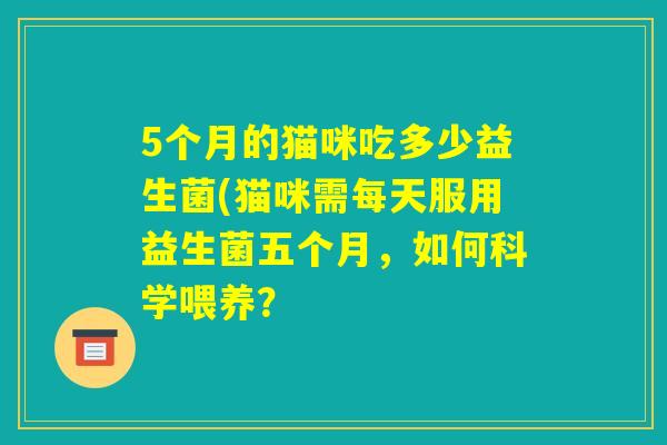 5个月的猫咪吃多少益生菌(猫咪需每天服用益生菌五个月，如何科学喂养？