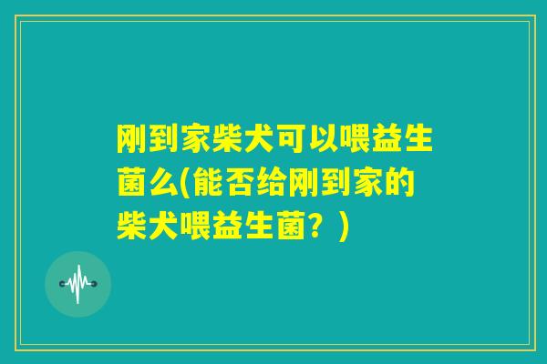 刚到家柴犬可以喂益生菌么(能否给刚到家的柴犬喂益生菌?) 刚到家柴犬可以喂益生菌么(能否给刚到家的柴犬喂益生菌?)