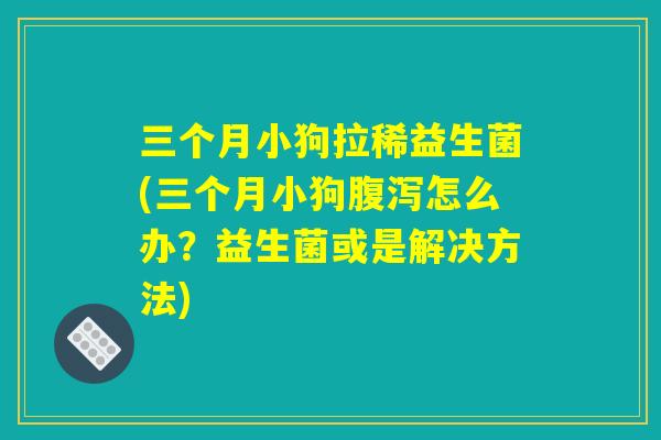 三个月小狗拉稀益生菌(三个月小狗腹泻怎么办?益生菌或是解决方法) 三个月小狗拉稀益生菌(三个月小狗腹泻怎么办?益生菌或是解决方法)