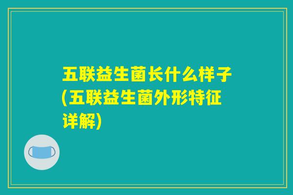 五联益生菌长什么样子(五联益生菌外形特征详解) 五联益生菌长什么样子(五联益生菌外形特征详解)
