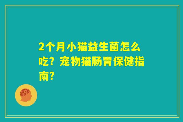 2个月小猫益生菌怎么吃？宠物猫肠胃保健指南？