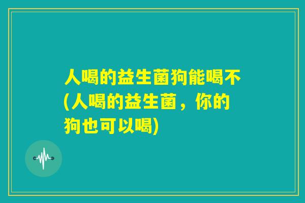 人喝的益生菌狗能喝不(人喝的益生菌,你的狗也可以喝) 人喝的益生菌狗能喝不(人喝的益生菌,你的狗也可以喝)