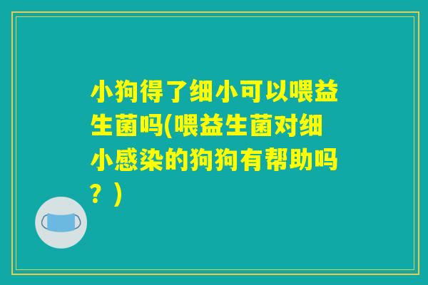 小狗得了细小可以喂益生菌吗(喂益生菌对细小感染的狗狗有帮助吗?) 小狗得了细小可以喂益生菌吗(喂益生菌对细小感染的狗狗有帮助吗?)