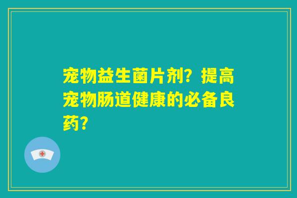 宠物益生菌片剂?提高宠物肠道健康的必备良药? 宠物益生菌片剂?提高宠物肠道健康的必备良药?