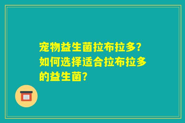 宠物益生菌拉布拉多?如何选择适合拉布拉多的益生菌? 宠物益生菌拉布拉多?如何选择适合拉布拉多的益生菌?