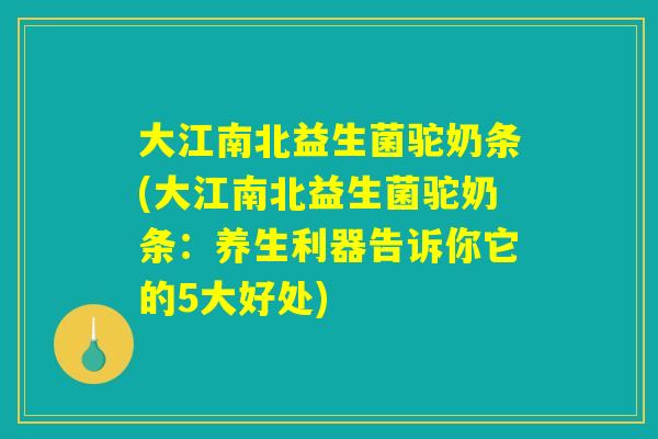 大江南北益生菌驼奶条(大江南北益生菌驼奶条：养生利器告诉你它的5大好处)