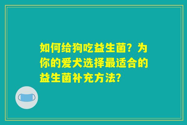 如何给狗吃益生菌？为你的爱犬选择最适合的益生菌补充方法？