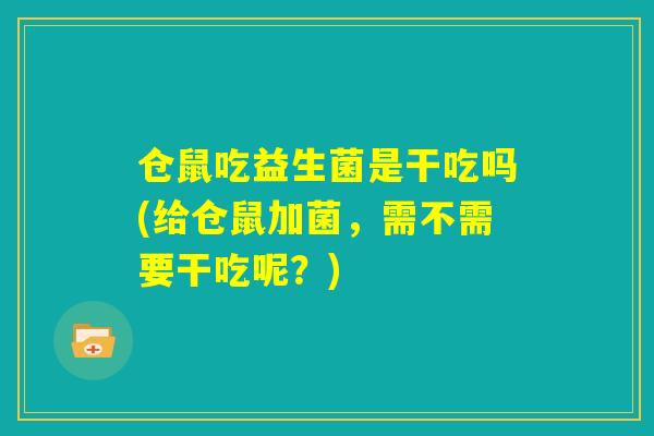 仓鼠吃益生菌是干吃吗(给仓鼠加菌,需不需要干吃呢?) 仓鼠吃益生菌是干吃吗(给仓鼠加菌,需不需要干吃呢?)