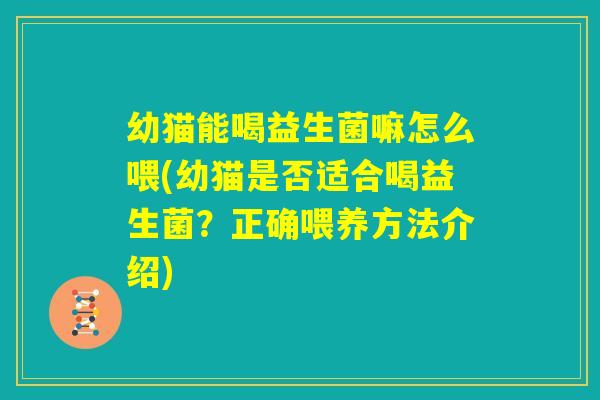幼猫能喝益生菌嘛怎么喂(幼猫是否适合喝益生菌?正确喂养方法介绍) 幼猫能喝益生菌嘛怎么喂(幼猫是否适合喝益生菌?正确喂养方法介绍)